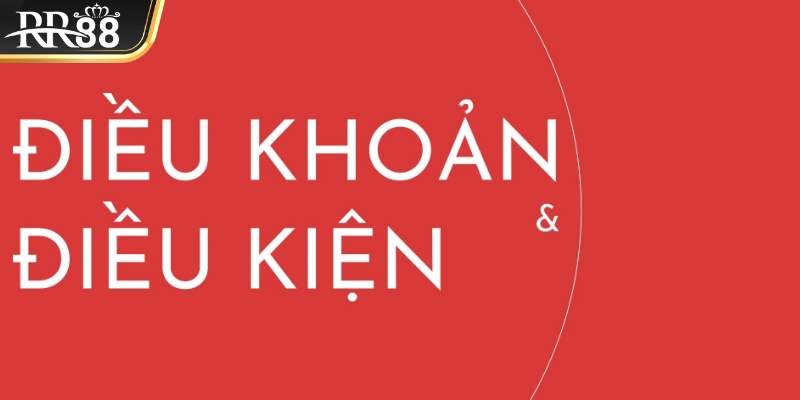Tầm quan trọng của chính sách đối với hoạt động của nhà cái