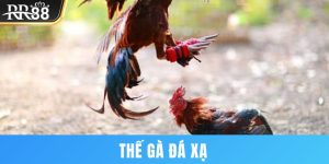 Thế gà đá xạ